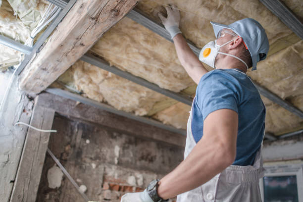 Best Cellulose Insulation in Preakness, NJ